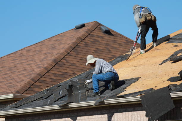Best Solar Panel Roofing Installation  in Sartell, MN
